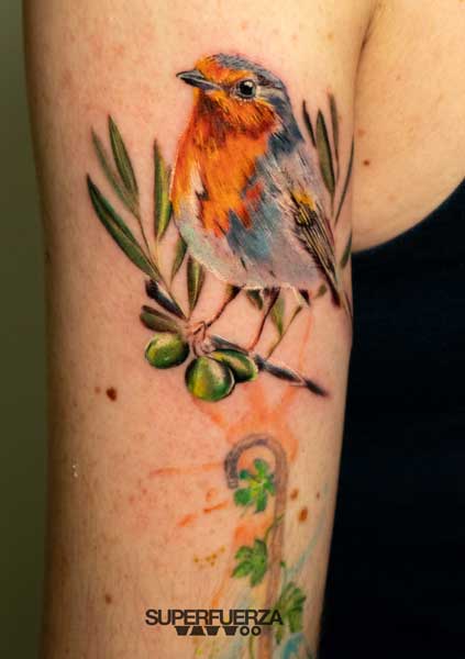Tatuaje full color realista petirrojo final tribal tattoo