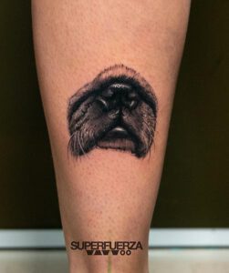 morro de perro carlino realista final tribal tattoo y piercing